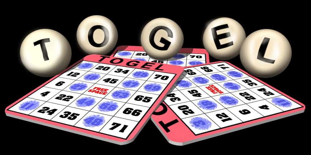 How to Quickly Become Professional Gudang Toto Togel Player